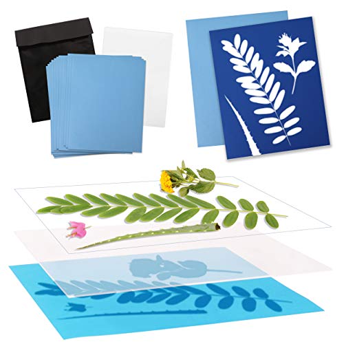Narwhal Novelties Sun Paper Art Kit, Photo Print Paper, Kids Love, Large (8x10)