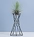 Tabletop Metal Big Air Plant Holders Big Air Plant Stands Air Plant Containers Air Plant Racks Tillandsia Stands Tillandsia Holders Tillandsia Racks (Black)thumb 4