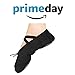 Ballet Shoes Pointe Canvas Split Sole Practice Ballet Dancing Gymnastics Shoes Ballet Flat Slipper US6