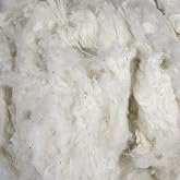 Organic Raw Cotton Fiber - USA Grown - Natural Color - by The Pound