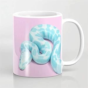 41nZTek%2BP4L. SS300