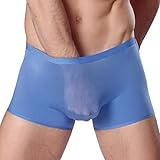 TONSEE Men Sexy U-shaped Ice Silk Boxer Brief Underwear (M, Blue)