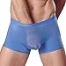 TONSEE Men Sexy U-Shaped Ice Silk Boxer Brief Underwear (M, Blue)