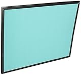 Honeywell 50000293-002 Post Filter (Pack of 2)