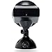 Solar Powered Security Spotlights- Motion Activated Lights- Wireless Outdoor Light- 300 Lumen Ultra Bright LEDs- 2 Lighting Modes- Best for Patio, Garden, Path, Pool, Yard, Deck (Black) (1 Pack)
