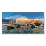 "Bold Beauty" Southwestern Desert Western Mountain