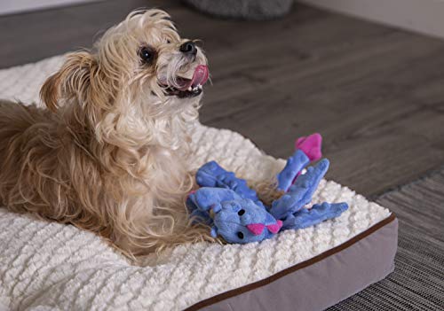 goDog Dragon With Chew Guard Technology Tough Plush Dog Toy, Periwinkle, Small
