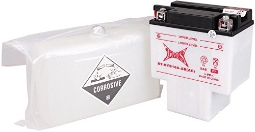 TMS HYB16A-AB HUB16A-A(AB) Battery for Honda VT700 VT750 VT750C VT1100 Shadow w/Acid