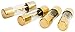 DB Link AGU60 60 Amp Gold AGU Fuses - Pack of 4
