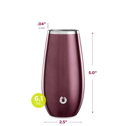 SNOWFOX W40006-09 Insulated Stainless Steel Stemless Glass, Champagne Flute (Set of 2), Dark Rose