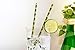 Kikkerland Biodegradable Paper Straws, Bamboo, Box of 144
