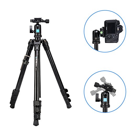 BONFOTO B73A + BH-00 58-inch Aluminum Alloy Professional Compact Travel Camera Tripod and Monopod with Panorama Pan Head + Swivel Ball Head + Carrying Bag for Smartphones and Digital Camera