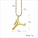 Men Boy Necklace Hiphop Necklaces Pendants Gold Long Chain Hipster Hip Hop jewelry Basketball Shirt Accessories (Gold plated)