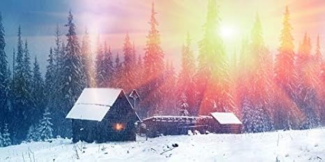 Amazon Com Aofoto 10x5ft Countryside Winter Snow Landscape
