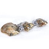 Round Akoya Twins Cultured Pearl in Oyster 6-7mm 50pcs (White, Pink, Purple,Dyed Black)