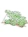 Gardeners Supply Company Sturdy Large Cucumber Trellis Support | Foldable Tough Metal Frame for Outdoor Climbing Plants Support | Best for Easy Harvesting and Easy Installation - 48