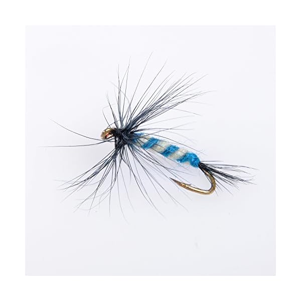 BLISSWILL-96Pcs-Fly-Fishing-Lures-Dry-Flies-Set-Floating-Flies-Hooks-for-Bass-Salmon-Trout
