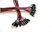 AFUNTA New 10pack 10 inch(30cm) 2.1 x 5.5mm DC Power Pigtail Female + 2.1 x 5.5mm DC Power Pigtail Male