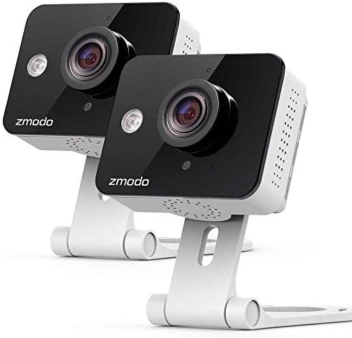 dog choke chain collar