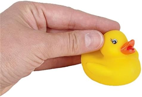 Amazon Com Rhode Island Novelty Patos De Goma Para Bebe 12 Piezas Toys Games