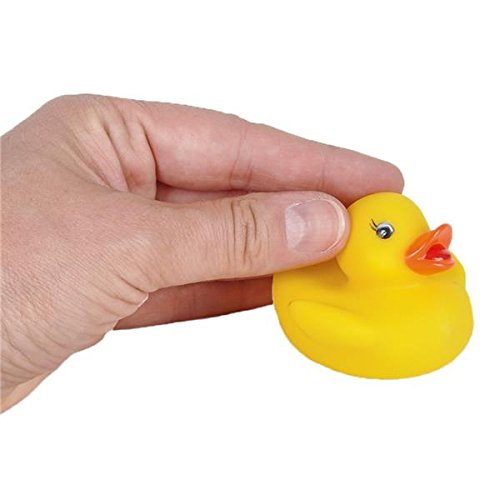 Rhode Island Novelty 2" Baby Rubber Ducks (12 Piece)