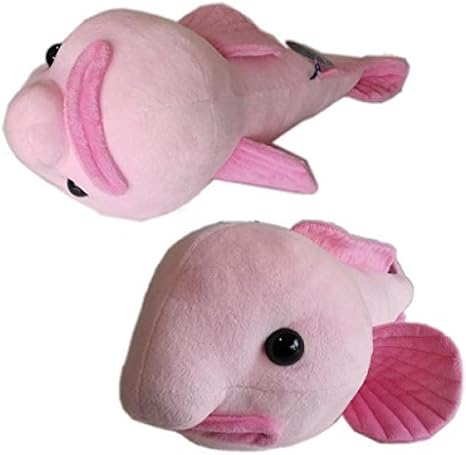 しんかいさんシリーズ ニュウドウカジカ X ブロブフィッシュ ぬいぐるみ 全長17cm ぬいぐるみ おもちゃ Amazon