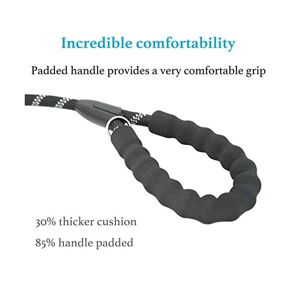 double dog leash swivel