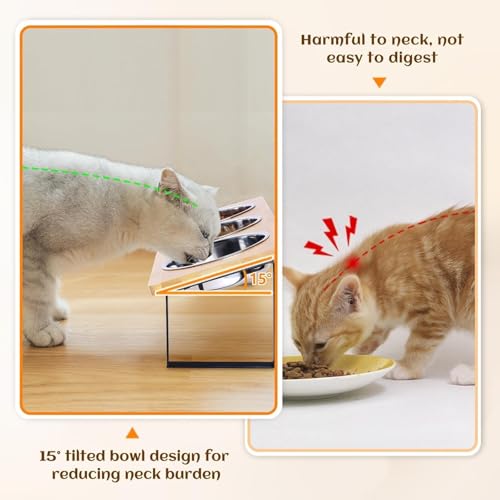 Last page® Elevated Cat Food Bowl, 15°Tilted Cat Bowl Stand with 3 Stainless Steel Raised Cat Bowls for Food and Water, Anti Vomit Feeding Station for Indoor Cats and Pet