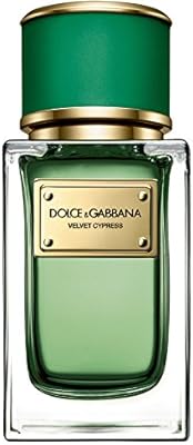 dolce and gabbana velvet cypress
