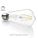 FluxSmart 8W Dimmable Edison Style Vintage LED Filament Light Bulb, 2700K Warm White, 800 Lumen, E26 Base ST21/ST64 Lamp, 60W Incandescent Bulb Equivalent (8 Watts)