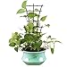 SANXIA DIY Garden Plant Climbing Trellis, Plastic Mini Superimposed Potted Plant Support Garden Trellises for Potted Climbing Plant Vines Vegetables Vining Patio Climbing Trellises (12 Pcs)