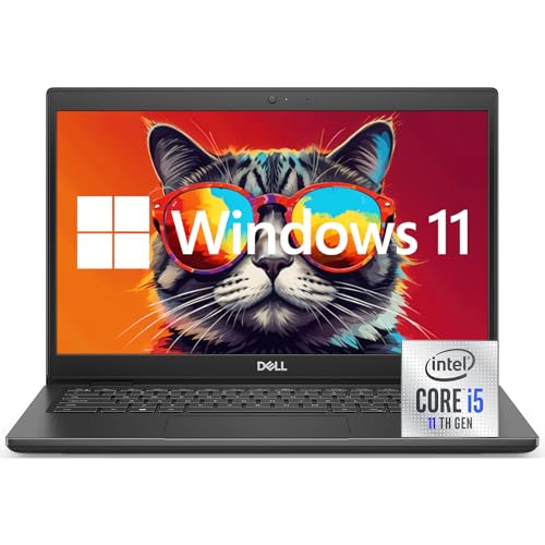 Dell Latitude 3420