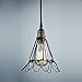 CLAXY Ecopower Industrial Opening and Closing Plug-in Pendant Lighting Wire Cage Lamp Guard Fixture