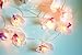 FANStek Artificial LED Orchid Light Warm White (String Lights)