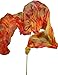 Winged Sirenny 4.4yds Colorful Flowy Soft Silk Ribbon Throw Streamer with Rod,Church Liturgical Praise Worship Adoration Dance Ribbon Beginners Practice Banner