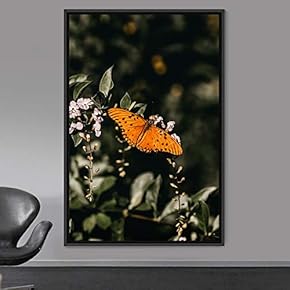 signwin Framed Canvas Wall Art Butterfly Expressive Farmhouse/Country...