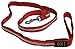 Nite Ize Nite Dawg LED Pet Leash, Light Up Dog Leash, Glows + Flashes, 5 Feet Long, Red