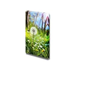 Canvas Prints Wall Art - Dandelions Blowing in The Wind During Springtime | Modern Wall Decor/Home Decoration Stretched Gallery Canvas Wrap Giclee Print. Ready to Hang - 18" x 12"