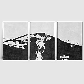 signwin 3 Piece Framed Canvas Wall Art Black...