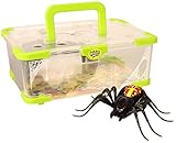 Wild Pets Spider Habitat Playset