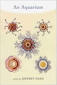 hong yang aquarium n pets accessories