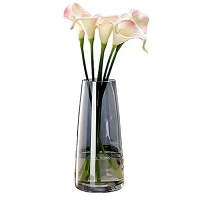 41nd%2B5DqtAL. SS400