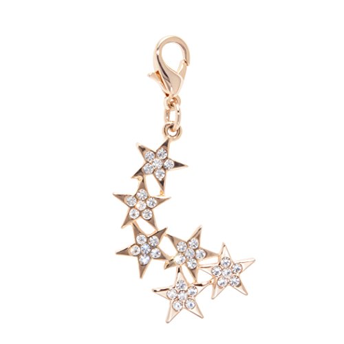 LazyBonezz Pet Charm for Dog and Cat Collars or Leashes - Jewelry that Clasps onto Dog Collars, Gold and Silver Bling with Rhinestones Shooting Stars Charm