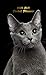 2020-2021 Pocket Planner: Pretty Crazy Cat Lady Two-Year Monthly Pocket Planner with Phone Book, Password Log and Notebook. Nifty 2 Year (24 Months) ... Calendar and Organizer - Adorable Grey Kitten