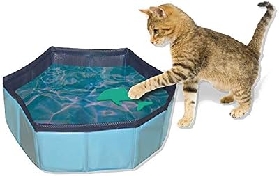 Piscina per Gatti Pieghevole, Parco giochi per gatti all'aperto, Vasca da bagno con giocattoli, Dimensioni: 30X10cm