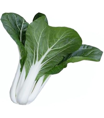 1000 CHINESE WHITE STEM PAK CHOI Bok Choy Seeds - Non-GMO Heirloom Seeds By Mai's Family - Foto 10