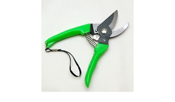 Amazon Com Home Gardening Pruning Shears Snip Tool Pruner Scissor Branch Cutter Lock Spring Patio Lawn Garden