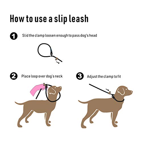 lynxking Dog Leash Slip Lead Snap Hook Rope Leash Strong Heavy Duty