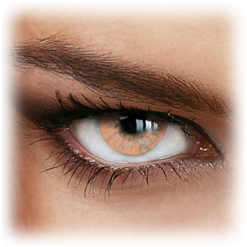 Best Hazel Contact Lenses TOPRated Best Best Hazel Contact Lenses