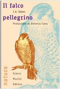 Amazonit Il Falco Pellegrino J A Baker V Mantovani